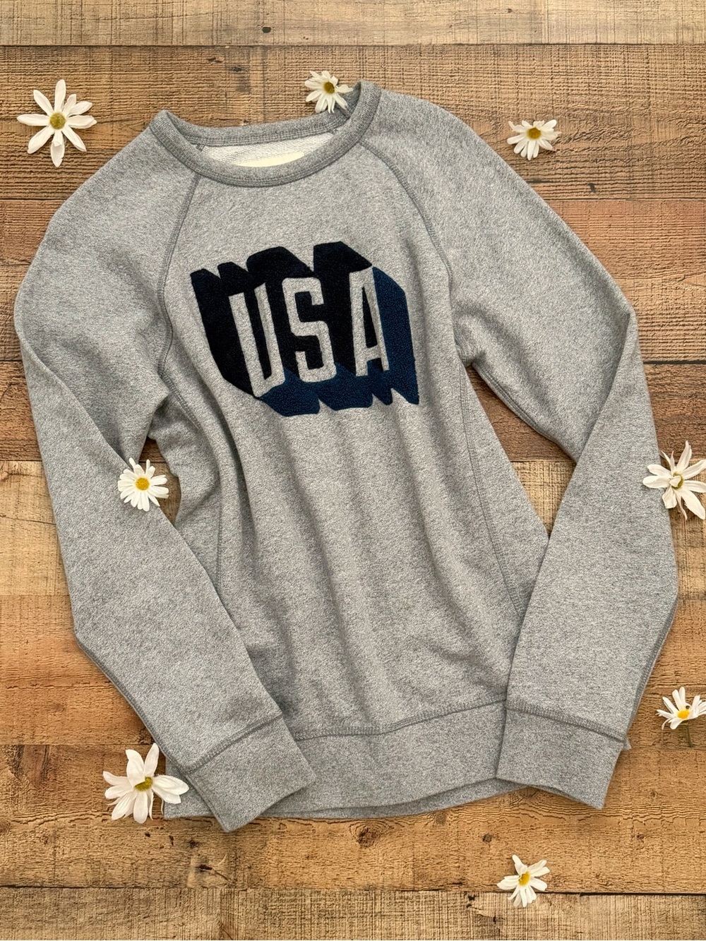 Sweatshirt USA Patriotic 4th of July Gray ⭐️NWOT Soft Cozy by AEO